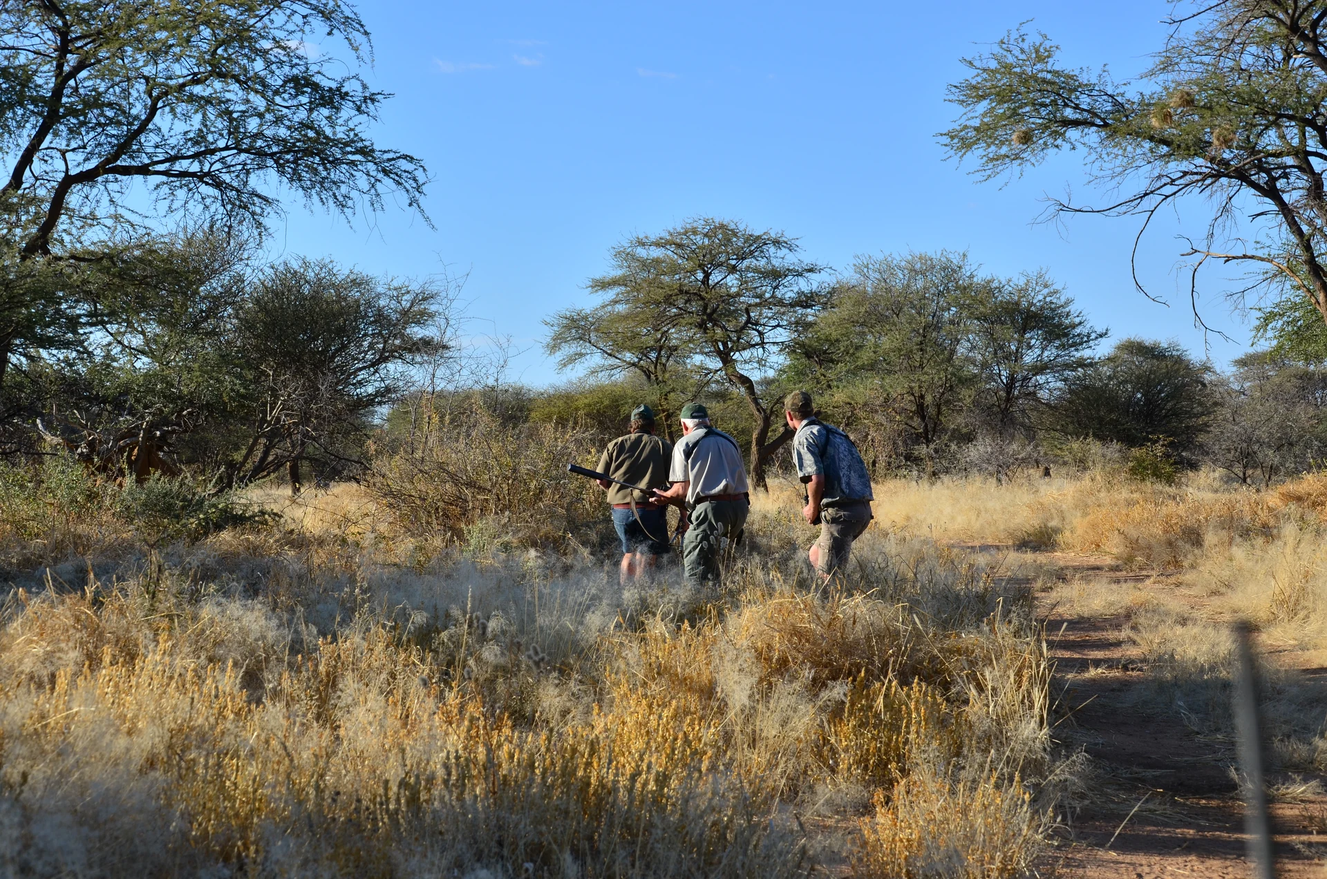 Namibian Fair-Chase Hunting Trophy